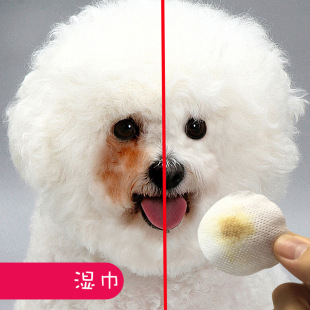 Ins Internet Celebrity Cat and Dog Improvement Parui Pet Wipes Pomeranian Teddy Eye Cleaning Supplies