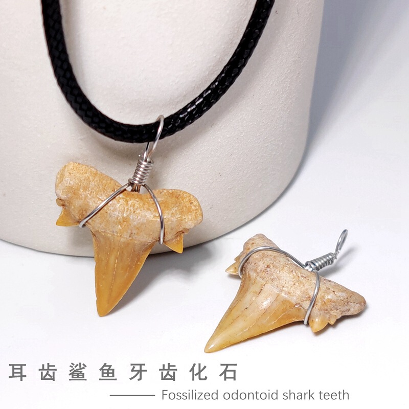 Moroccan Ear-Toothed Shark Tooth Fossil Paleontological Fossil Fish Tooth Fossil Popular Science Teaching Specimen Pendant Jewelry