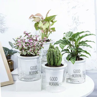 �k����С�Gֲ�҃Ⱥ��B���m���������L�ۻ��G�}��Ƥ�mˮ��ֲ�����