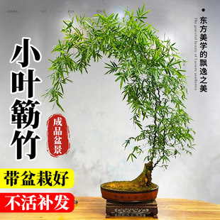 С�~�{���Ʒ�辰�����Ϙ��U�������҃��k���������ļ��͏d�Gֲ��