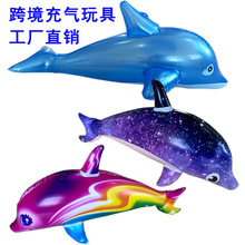 充气海豚pvc充气儿童玩具跨境水上玩具批发充气海豚星空海豚公仔