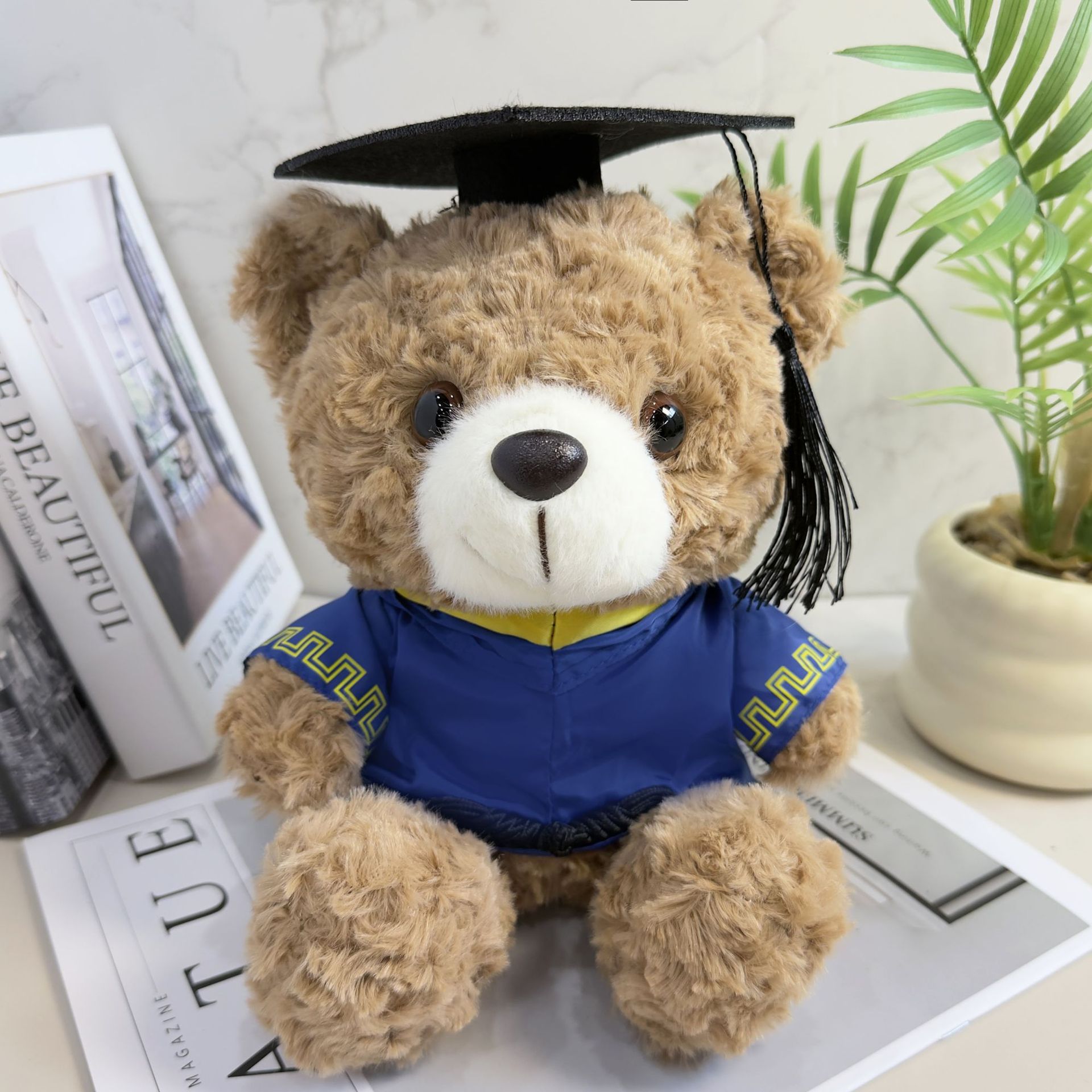 Doctor sombrero oso Teddy Teddy