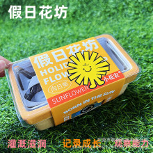 儿童科学种植观察植物生长波斯菊牵牛花小雏菊小花农假日花坊