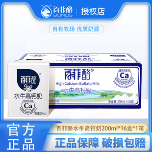 Beifei Buffalo High Calcium Milk Drink Nutritious Pure Milk Snack Dairy Breakfast Milk