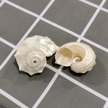 ��Ȼؐ�������y�ڈA����ȥƤ���R���ֹ�diy����Ҿ�