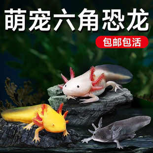 ���ǿ����~��ˮ�~ϔ�ˮ�匙����w��������ˮ�^�p�W�t�~���B�׻�