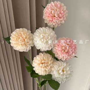 2�^���� �ذ������������������ՔzӰ������ջ�Y�Ƶ겼����ˇ