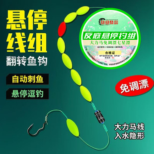 Hanging Fishing Set with Adjustable七星漂 Line Set, Main Line Set, Strong Horse Fish Line, Flip Fish Hook, Finished Fishing Set
