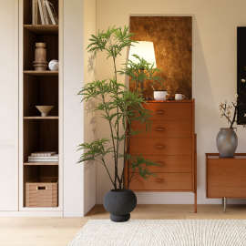 森空间仿真绿植孔雀木玄关客厅高级轻奢中式落地盆栽软装植物装饰