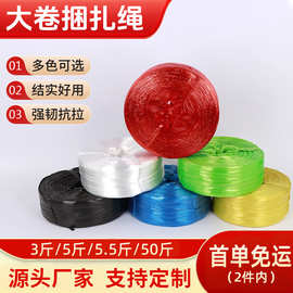 工厂直销白色塑料捆扎绳尼龙拉枝绳pp绳纸箱包装绳制品绑绳批发