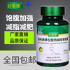 [Factory sales]Slimming capsules L-carnitine Green Tea Capsules 60 Slimming Lose weight Polyphenols Satiety Appetite