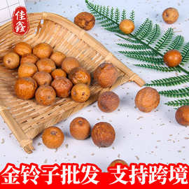 金铃子川楝子苦楝子苦心子臭果川楝子创意摆件装饰拍照道具