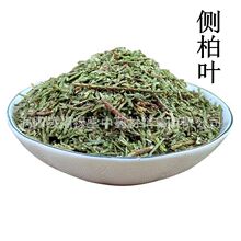 中药材批发侧柏叶 柏叶大货供应侧柏叶 侧柏叶