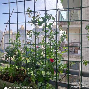 ���ټܻ������ѷ��Ѷ����S�ϼ��Ӱ���䓹�ֲ��N�˴�܈@ˇֱ֧�N