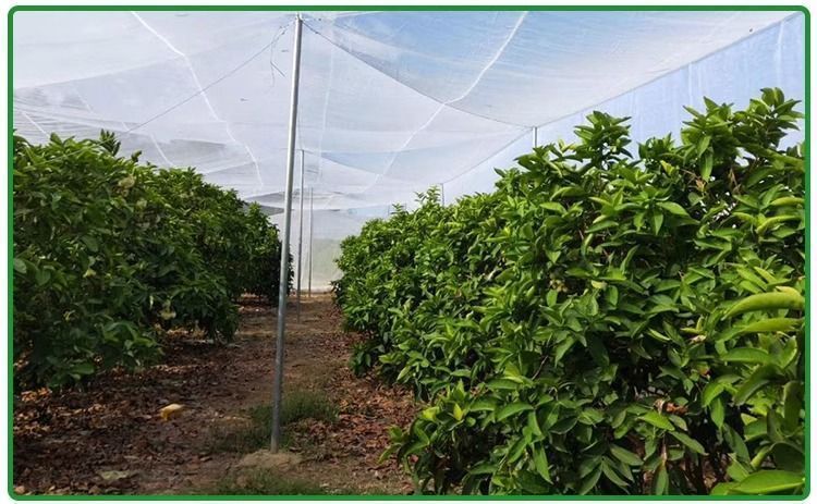 7c41240a-bab4-487d-8931-d0c9a82eaccb.jpe