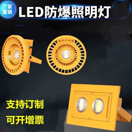 投光灯;埋地灯;水底灯