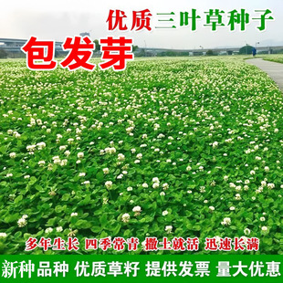 �����~���ѷN��܇�S���Ӽt���~���\���ļ��ೣ���ͺ��ͺ��o�²���