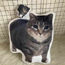 网红oiiai猫表情包语音挂件小猫发声玩偶异形抱枕挂件生日礼品现
