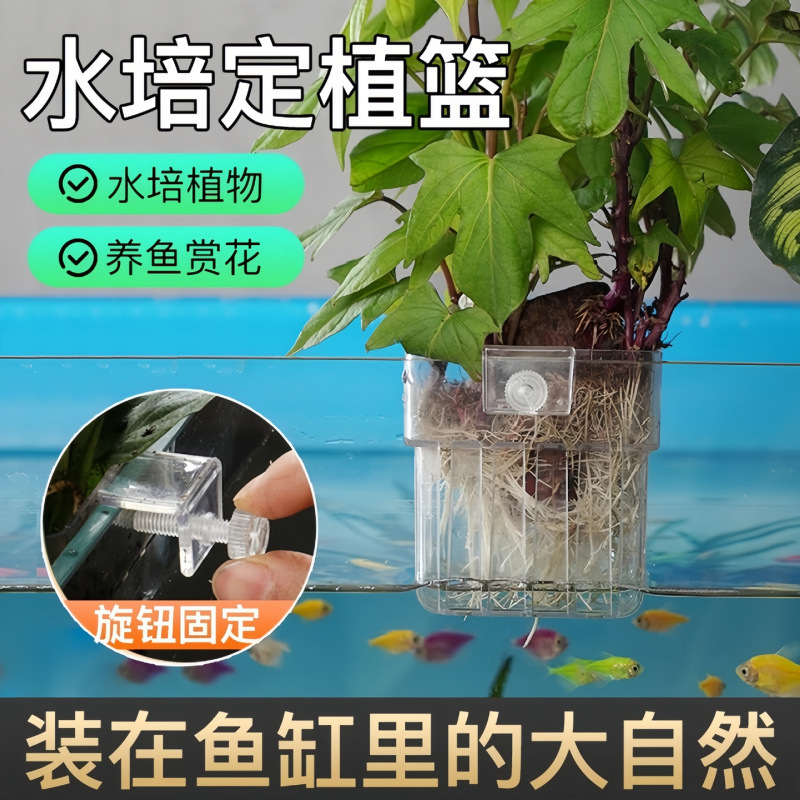鱼缸透明水培植物篮壁挂式挺水植物架家用水草种植杯鱼缸造景装饰