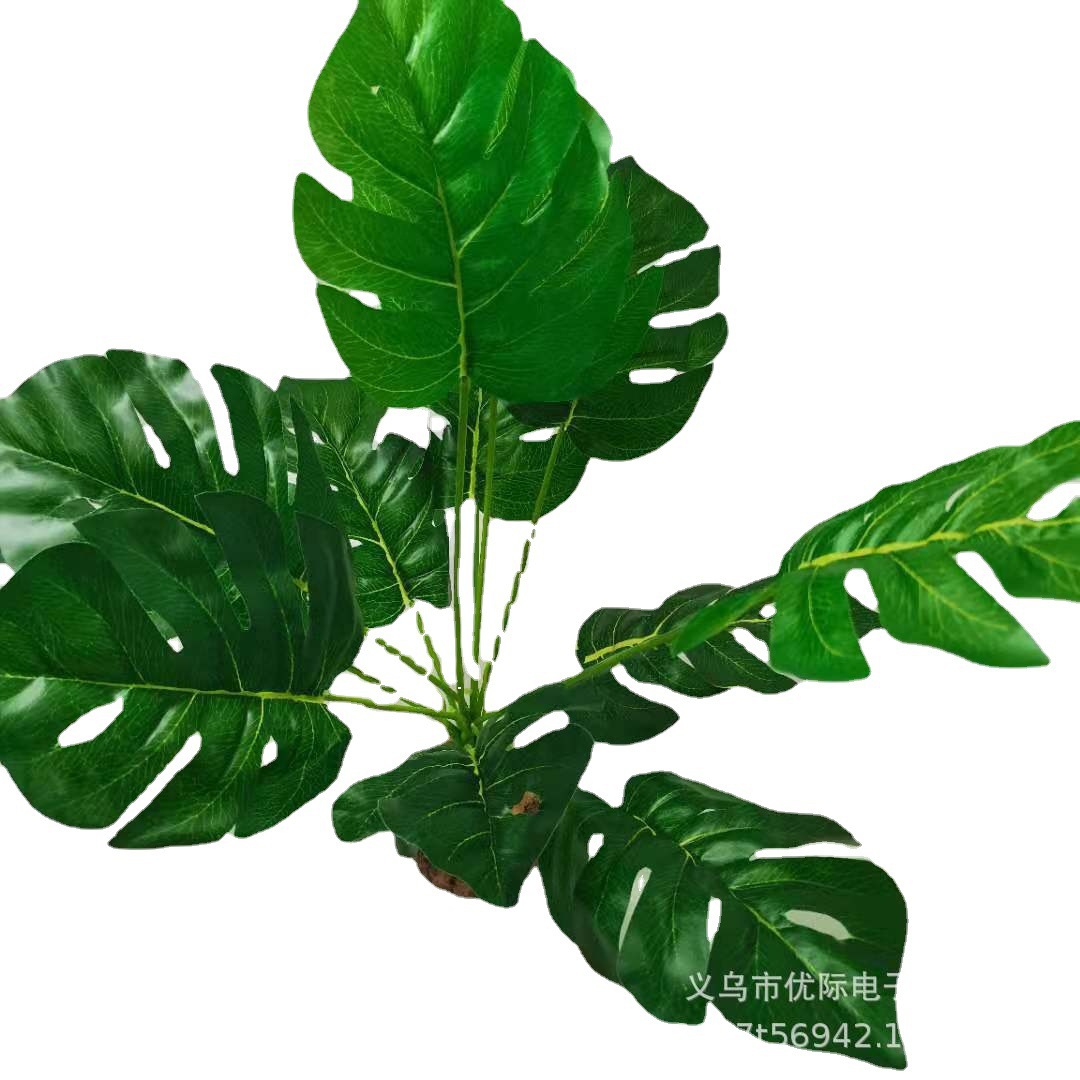 O1CN016F4fOU1Bs2gRJtep8_!!0-0-