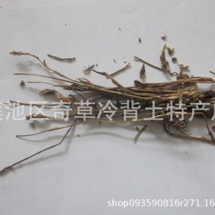 �P����,�P����,��,�i�޲�,��ș�ıP�������l