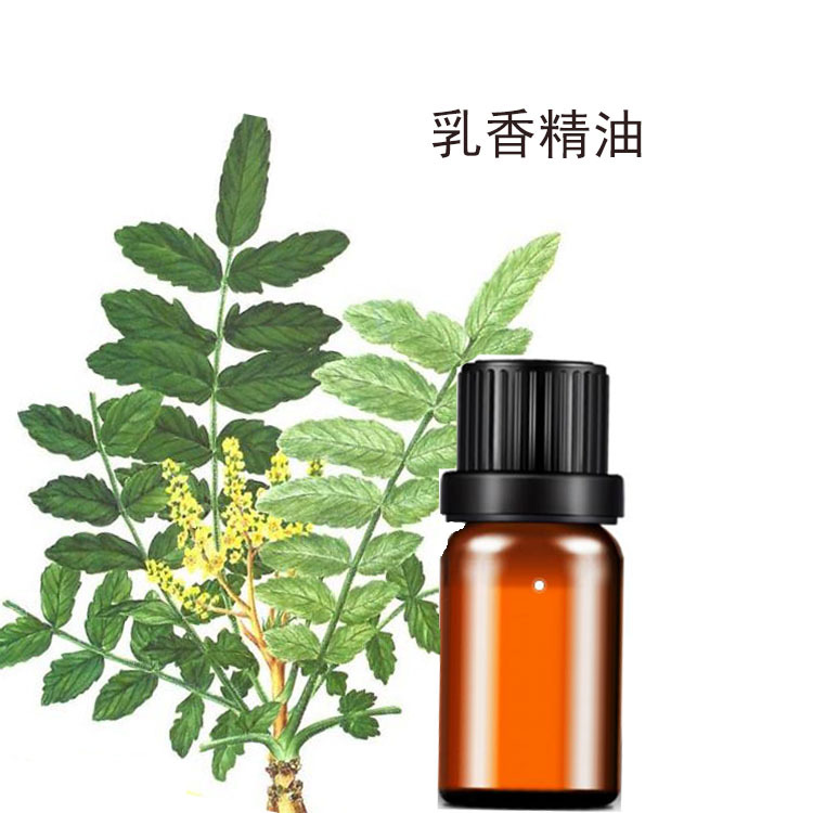 供应日化天然精油  香薰按摩精油   乳香精油 10ml小批量单方精油