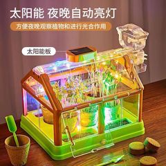 Hottest Selling Children's Planting Sunroom Vegetable Growing Plant Observation Science Experiment Toy Set Student Teaching Aid