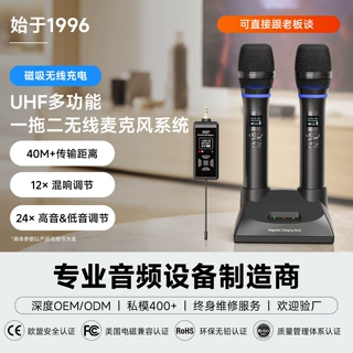 跨境批发UHF无线万能麦克风一拖二多功能家庭K歌直播充电手持话筒