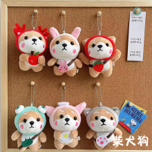 ����ɐ�ë�q��߲�Ȯ��ż���б�������[�����նY��܇���b��