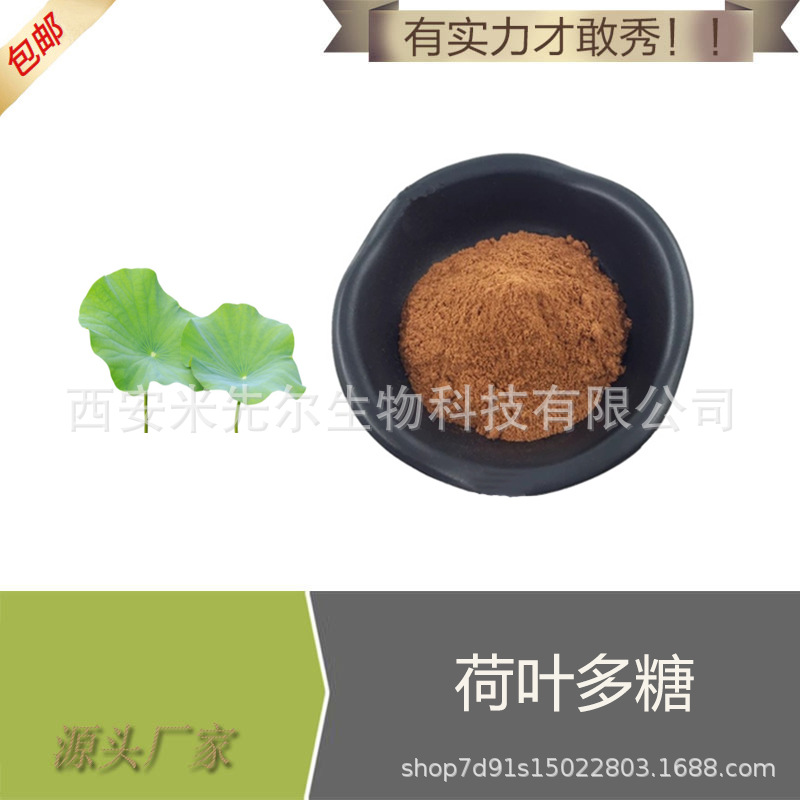 荷叶多糖 50% 荷叶提取物 荷叶多肽  厂家  现货供应