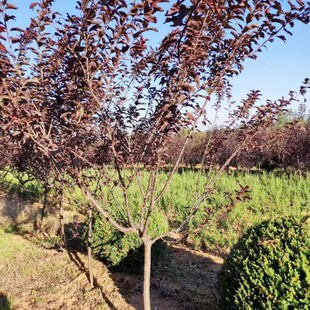 �|���ͺ� �t�~��� ���~��� ��֦�t�~��^�� �t�~���򹤳���