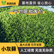 С\ r̦\΢^ֲ҃bGֲ쾰ɽb\