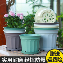 �������ϼ��Ø�֬����G�}�����m���ԾGֲ�@ˇ͸������͸�⻨��