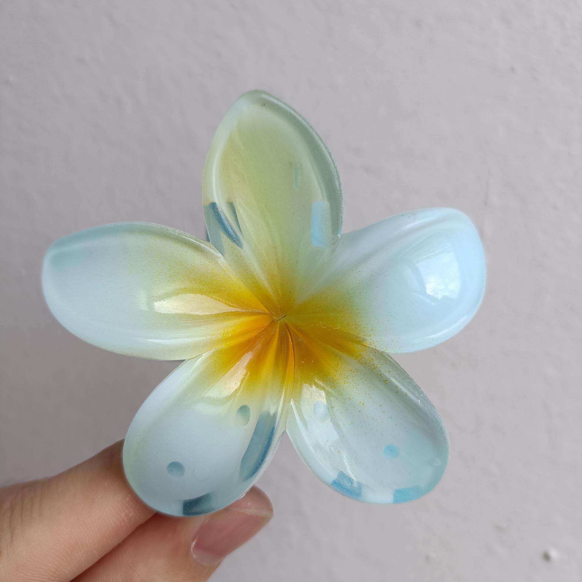 【50】8cm
