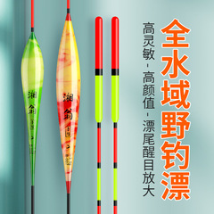 超目立つナノ浅水遠投太い深水ブイ高感度フナ鯉釣り具魚フローティングフロート