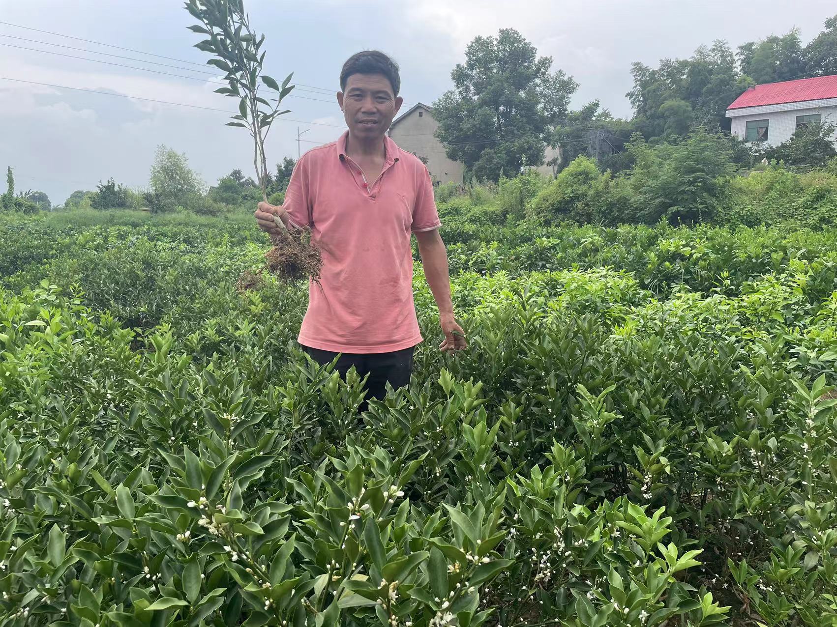 567df6fbe977790eb0233eb458d694