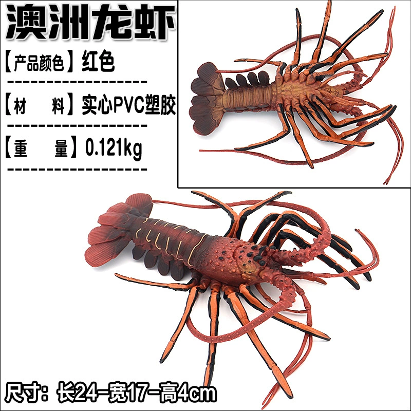 Игрушка, большие морские когнитивные украшения