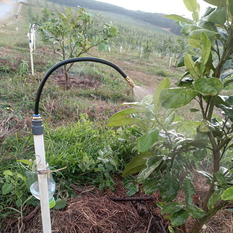 mmexport1639117823438