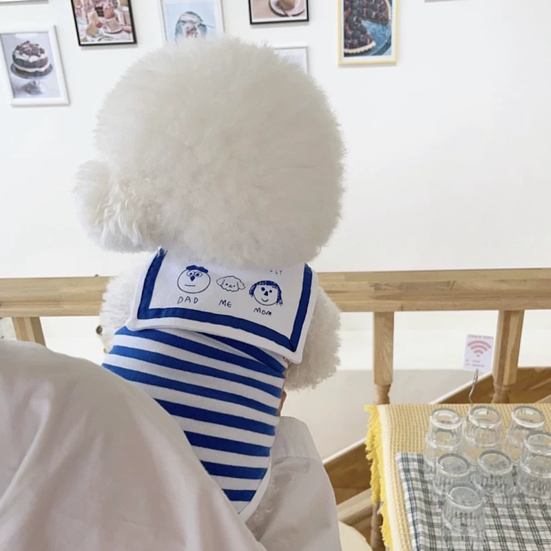 Летний жилет для бишонов, одежда для йоркширских собак, летняя тонкая одежда для померанского шпица, VIP-питомец, кошка, шнауцер, Тедди, собака