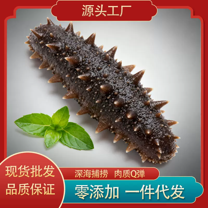 即食海参6头批发商用深海零添加辽参大连刺参源头工厂鲜食海参蒸
