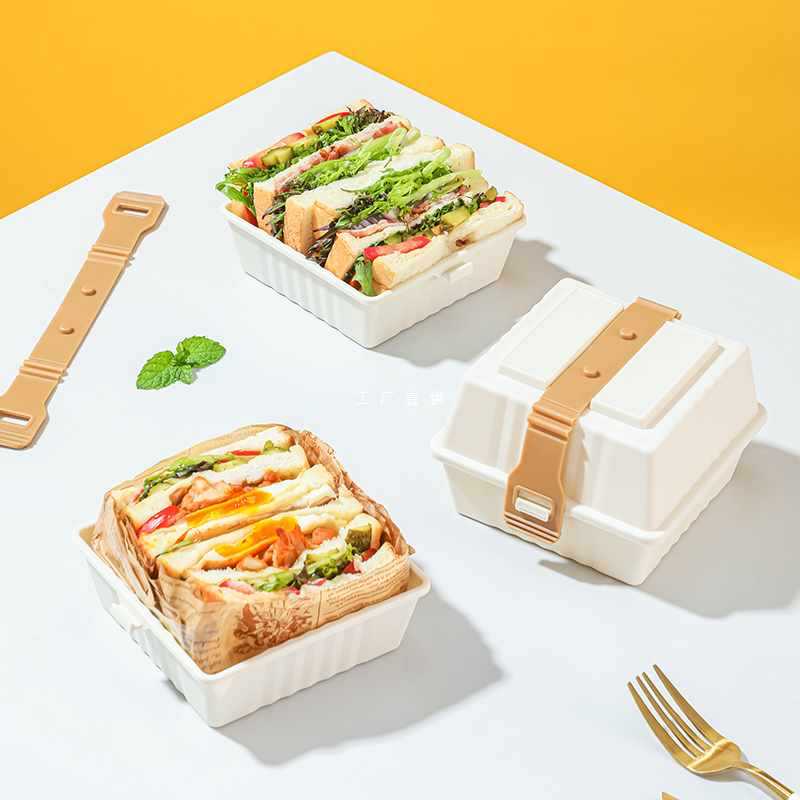 6E3X外带汉堡防压盒露营携带盒子糕点便当打包盒塑料三明治野餐盒