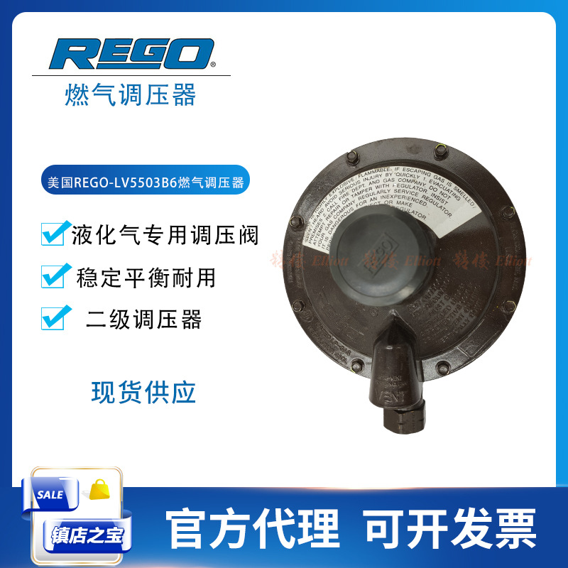 美国力高RegO燃气调压器LV5503B6管道二级液化气调压阀DN10防泄漏