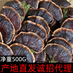 卸売り金辺霊芝香芝紫霊芝苦小整枝500グラム1斤泡茶湯煮