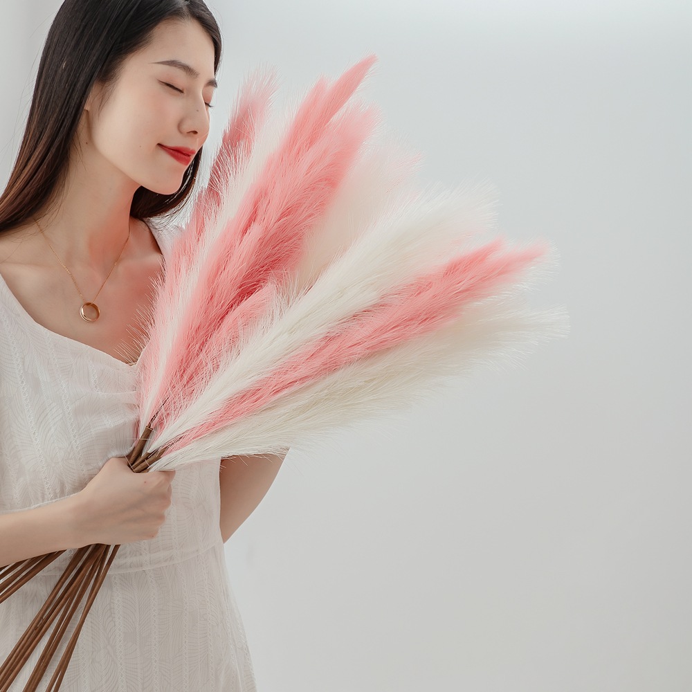 批發INS漫妮潘帕斯草蘆葦草仿真花家居裝飾跨境婚慶假花MW61212