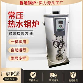 蒸汽发生器;燃气锅炉;燃生物质锅炉