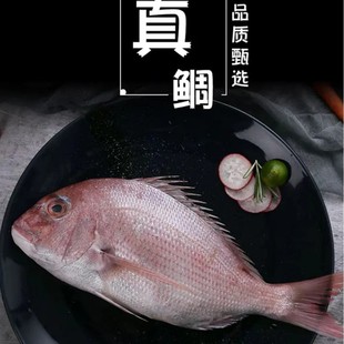 A14��~���Ұ���~���rʳ�����l����������~���~�r��ʳ��