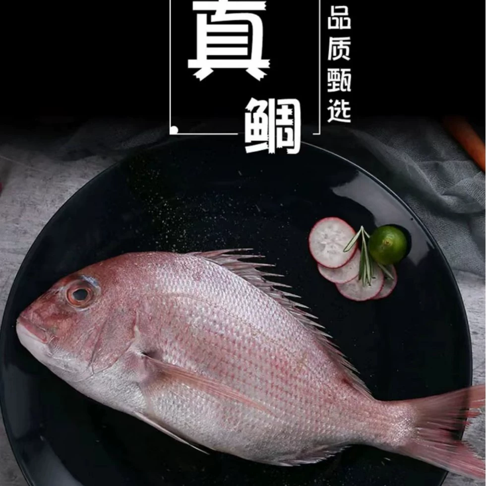 151 глубоководная рыба, морская рыбалка, свежая дикая рыба, морепродукты, ингредиенты, оптовая торговля, кейтеринг, сашими, лосось, тунец