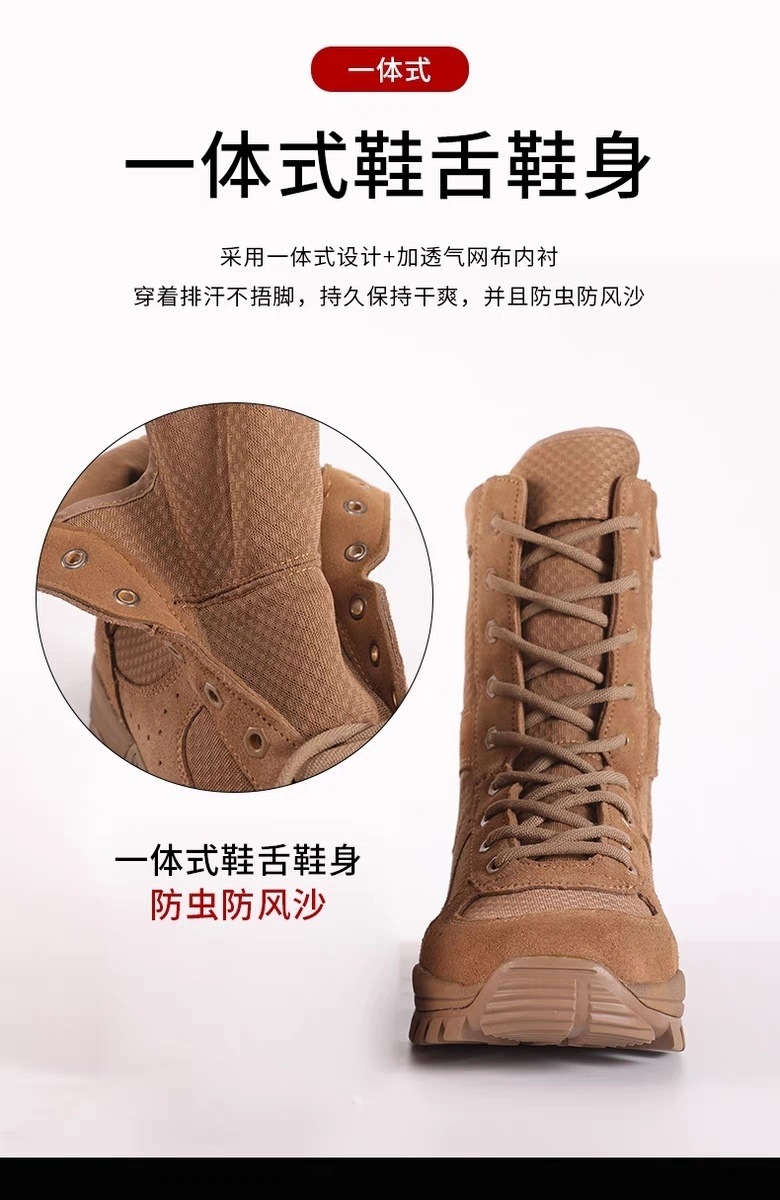 b2487d74-15bc-405a-ba12-82b1754b3d6e.jpe