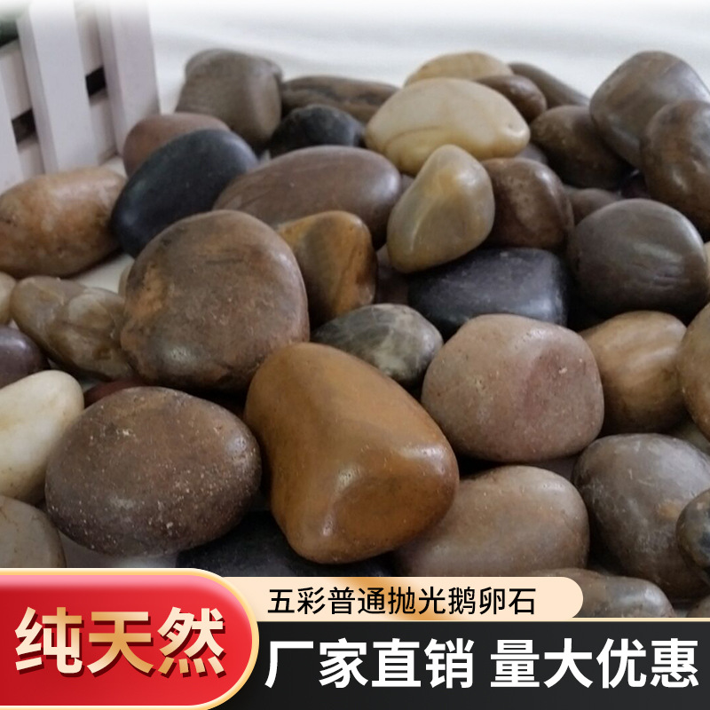 花石天然铺地石头鹅卵石小石头软石子卵石花园彩色子花小石雨碎石