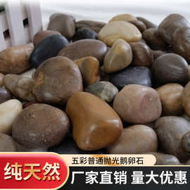 花石天然铺地石头鹅卵石小石头软石子卵石花园彩色子花小石雨碎石